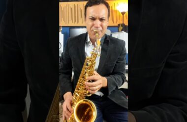 Saxofone Wing Pro Edição Limitada Gold – tudel prateado e Silver saxofones melhores saxshop melhores